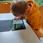 vergrößerte Bildansicht wird geöffnet