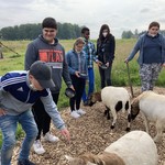 vergrößerte Bildansicht wird geöffnet